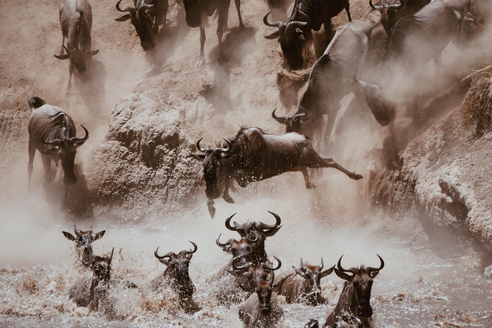 Great migration The crossings of the Grumeti and Mara rivers beginning in July are a popular safari attraction because crocodiles are lying in wait.
Photo by <a href="https://unsplash.com/@maur1ts?utm_source=unsplash&utm_medium=referral&utm_content=creditCopyText">Maurits Bausenhart</a> on <a href="https://unsplash.com/s/photos/tanzania?utm_source=unsplash&utm_medium=referral&utm_content=creditCopyText">Unsplash</a>