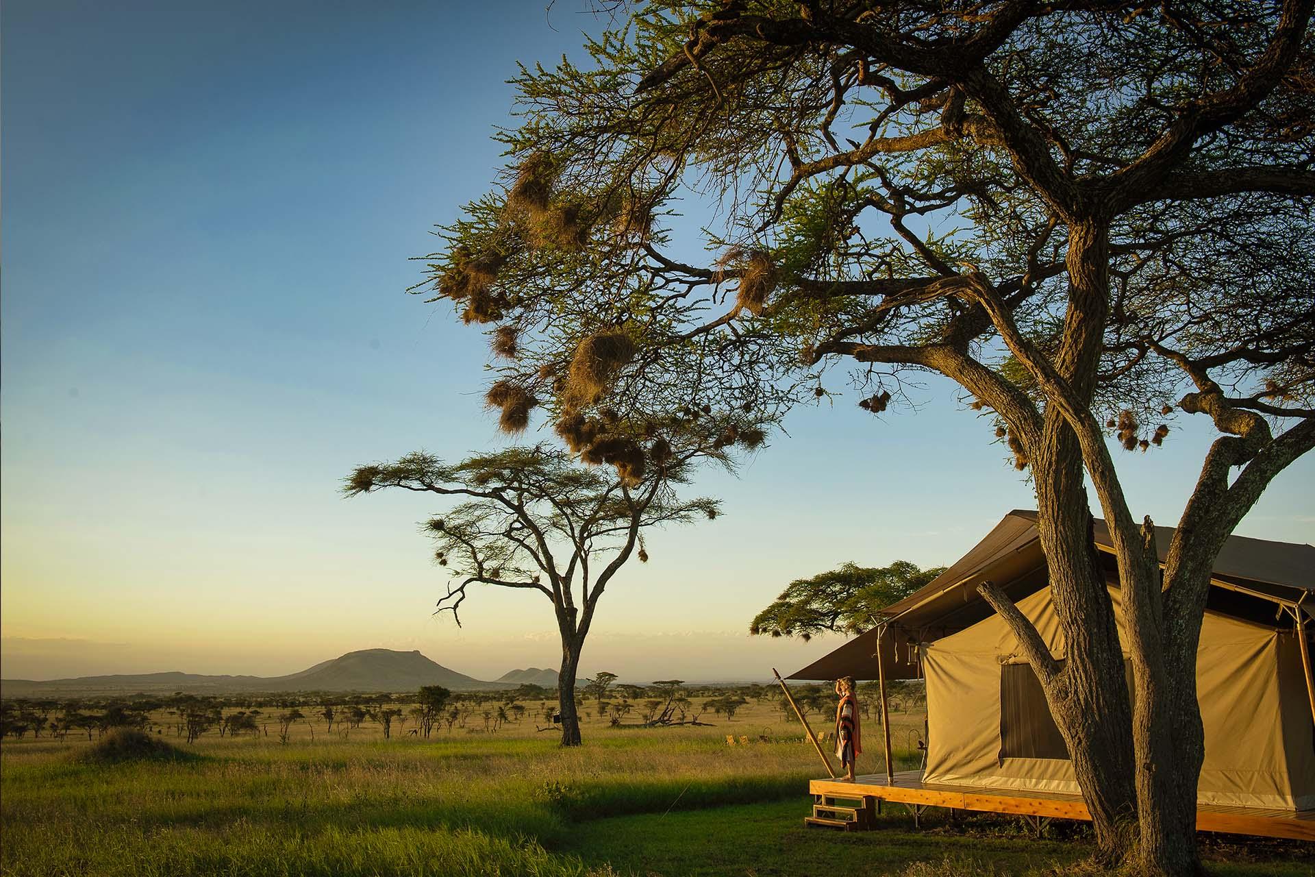The view from Siringit Serengeti Camp Enjoy this view from your private tent at Siringit Serengeti Camp in the middle of the Serengeti National Park, Tanzania